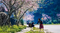 Miền Bắc mùng 2 Tết nắng ấm, Trung Bộ mưa nhiều nơi