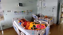 Ba ngư dân thương vong nghi do ngộ độc cá nóc