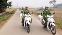 Bình yên ở Phục Linh
