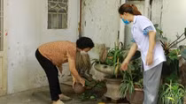 Sốt xuất huyết ở Hà Nội đang diễn biến phức tạp
