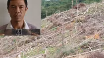 Khởi tố đối tượng phá 2,5 ha rừng tự nhiên
