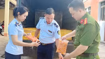 Thu giữ hơn nửa tấn trứng non nghi nhập lậu từ Trung Quốc