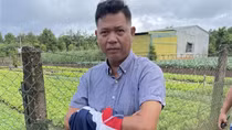 Tìm nạn nhân trong vụ lừa đảo tại nhiều tỉnh, thành