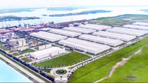 THILOGI- Thương hiệu logistics với mô hình và giải pháp trọn gói hàng đầu miền Trung