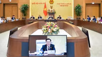 Các vụ lừa đảo qua mạng, nạn nhân lên đến hàng chục nghìn người