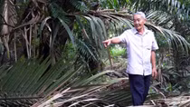 Để tạo ra sự khác biệt