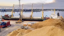 Những con đường ngũ cốc từ Ukraine