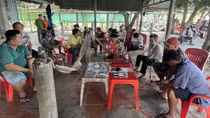 Công an Vĩnh Long phá 2 sới bạc, bắt 29 đối tượng