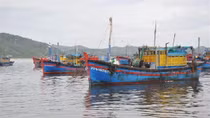 Khai báo không đầy đủ khi vào cảng, ba chủ tàu cá bị xử phạt