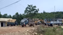Chấn chỉnh ngay hoạt động của hàng loạt trạm cân thu mua gỗ rừng trồng