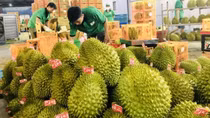 Để nông sản Việt chinh phục thị trường 1,5 tỷ người