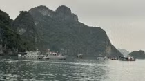 Tìm thấy hộp đen, xác định phi công cố gắng đưa máy bay đến khu vực an toàn