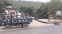 CSGT Thanh Hoá xử lý gần 3.000 trường hợp vi phạm kích thước thành thùng