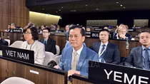 Việt Nam được bầu làm Phó Chủ tịch Đại hội đồng UNESCO lần thứ 42