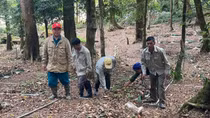 Chuyện làm giàu trên đỉnh Ngọc Linh