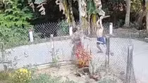 Người đàn ông đánh hàng xóm tử vong