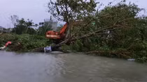 Gió giật và mưa lớn dữ dội, miền Trung oằn mình trong bão