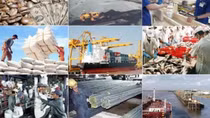 Cảnh báo lừa đảo trong xuất khẩu sang thị trường Nigeria
