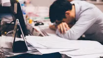 Môi trường phụng sự