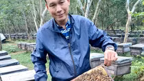 Nuôi ong ở Vườn quốc gia Xuân Thủy