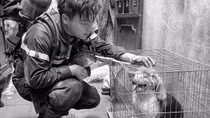 Dâng hiến tuổi thanh xuân vì bình yên cuộc sống