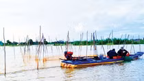Vui buồn mùa nước nổi ở miền Tây Nam Bộ