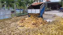37 tấn rác thải "bốc mùi" chưa qua xử lý "vô tư" xả ra môi trường