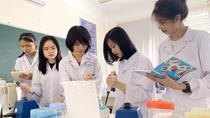6 cơ sở giáo dục đại học Việt Nam vào bảng xếp hạng đại học thế giới