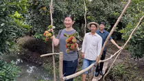 Du lịch sông nước hút khách tham quan