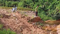 Đường tuần tra rừng Vườn Quốc gia Bạch Mã “kêu cứu”
