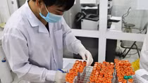 60 tỉnh ghi nhận 14.861 ca COVID-19, Hà Nội có gần 2.500 F0