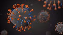 Phát hiện virus mới có thể gây chết người tại Trung Quốc
