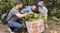 Thúc đẩy liên kết phát triển kinh tế giữa TP Hồ Chí Minh và các tỉnh miền Tây Nam Bộ
