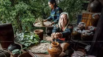 Mùa rừng Chư Yang Sin