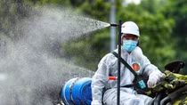 Bộ Y tế yêu cầu ngừng phun hóa chất diệt virus SARS-CoV-2 ngoài trời