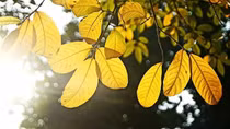 Miền Bắc tăng nhiệt nhẹ, trời nắng