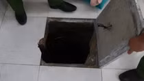 Đào hầm trong phòng ngủ để trốn truy nã