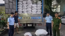 Thu giữ hơn 12 tấn chân lợn "bẩn" tại khu vực biên giới