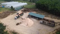 Bao giờ mới xử lý dứt điểm tình trạng thu mua, chế biến gỗ trái phép?
