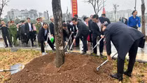 Phấn đấu trồng 3.000 cây xanh trong năm 2026 tại xã Đông Anh, TP Hà Nội