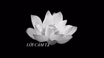 Lời cảm ơn