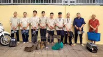 Đối tượng cuối cùng trong nhóm “dơi đêm” săn trộm mèo đã ra đầu thú