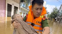 Căn tính Việt như mầm xanh cội