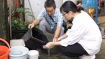 Tay chân miệng tăng gấp 5 lần, sốt xuất huyết tăng 2,2 lần