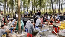 Trường gà trong rừng ăn thua tiền tỷ bị triệt phá ngày giáp Tết