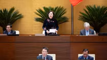 Đại biểu Quốc hội đề xuất hạ nhiệt thị trường bất động sản; tăng lương cán bộ, công chức