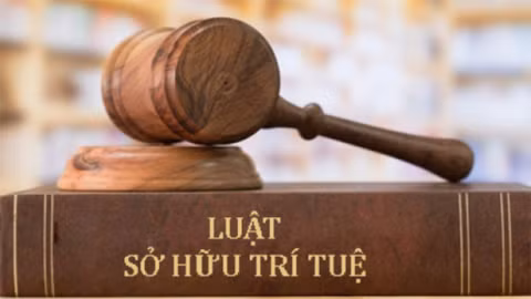 Cái gốc vẫn từ con người