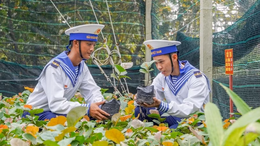 GOM NẮNG GIỮA BIỂN