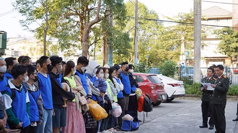 Những cuộc truy bắt trên không gian mạng