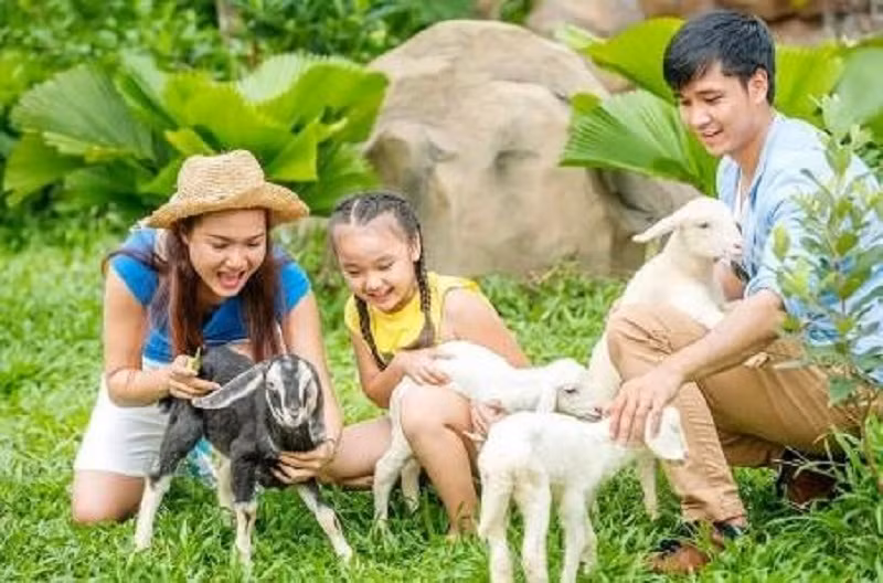 Thời gian tới, du khách còn có thể khám phá Cung điện Hải vương - 1 trong 5 Thủy cung lớn nhất thế giới